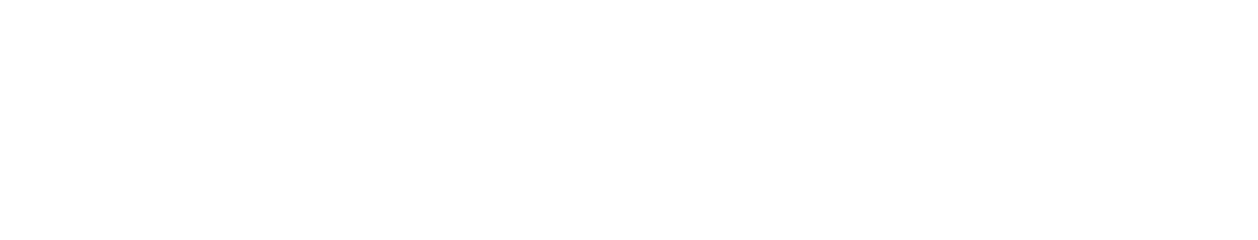 AGAMI STEEL